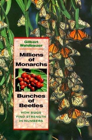 Millions of Monarchs, Bunches of Beetles: How Bugs Find Strength in Numbers