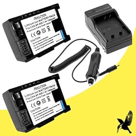 Two Halcyon 1500 mAH Lithium Ion Replacement Battery and Charger Kit for Canon VIXIA HG21 3.3 MP HD Digital Camcorders and Canon BP-808