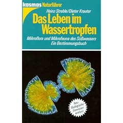 Das Leben im Wassertropfen. Mikroflora und Mikrofauna des S��wassers