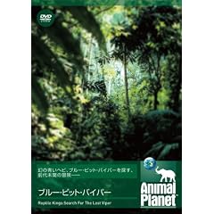 アニマルプラネット 伝説の毒蛇:ブルー・ピット・バイパー