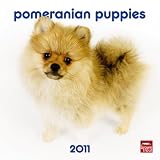 \"Pomeranian