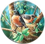 Knowles Birds of Your Garden Plate The Robin