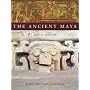 The Ancient Maya