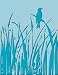 Cuttlebug A2 Embossing Folder: Bird Call