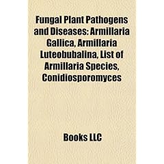 Fungal Plant Pathogens and Diseases: Armillaria Gallica, Armillaria Luteobubalina, List of Armillaria Species, Conidiosporomyces