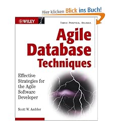 Agile Database Techniques