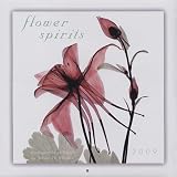 Flower Spirits 2009 Wall Calendar (Calendar); ISBN: 1416280278; by: <b>Steven N Meyers</b>