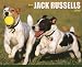 Just Jack Russells 2010 Calendar