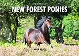 The spirit of New Forest ponies