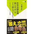 世界金融危機 彼らは「次」をどう読んでいるか？ (双葉新書)