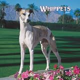 Whippets 2009 Square Wall Calendar