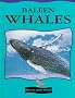 Baleen Whales (Cooper, Jason, Read All About Whales.) Baleen Whales (Cooper, Jason, Read All About Whales.)