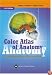 Color Atlas of Anatomy: A Photographic Study of the Human Body (Color Atlas of Anatomy (Rohen))