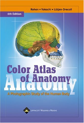 image of Color Atlas of Anatomy: A Photographic Study of the Human Body (Color Atlas of Anatomy (Rohen))