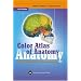 Color Atlas of Anatomy: A Photographic Study of the Human Body (Color Atlas of Anatomy (Rohen))
