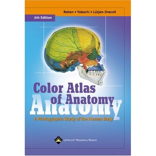 Color Atlas of Anatomy: A Photographic Study of the Human Body (Color Atlas of Anatomy (Rohen))
