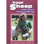 Your Sheep: A Kid's Guide to Raising and Showing