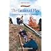 The Genius of Play: Celebrating the Spirit of Childhood (Early Years)