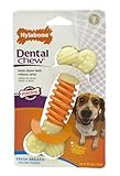 Best buy Nylabone Proaction Dog Dental Chew, Medium