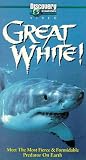 Great White