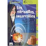 Détails sur le produit