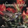 Hummingbirds Calendar (2003)