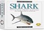 Skullduggery Eyewitness Kit Shark Casting Kit