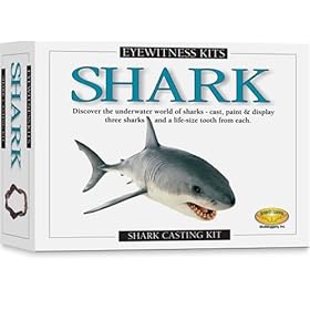  Skullduggery Eyewitness Kit Shark Casting Kit