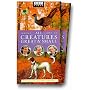 All Creatures Great and Small, Series 2: Volumes 1-6 [VHS]