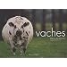Vaches