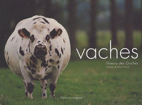 Vaches