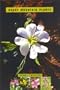 A Guide To Rocky Mountain Plants, Revised
