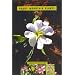 A Guide To Rocky Mountain Plants, Revised