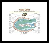 2007 Florida Gators Framed Photo - NCAA Tournament Brackets
