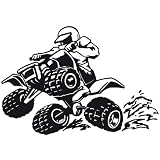 sticker GEANT quad 