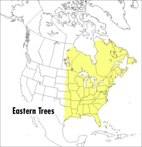 A Field Guide to Eastern Trees (Peterson Field Guides) under General in The Books Store