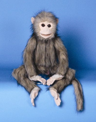 Childrens Toyshop  Toys : Brown Monkey Animal Puppet (P8063M)
