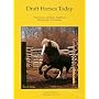 Draft Horses Today