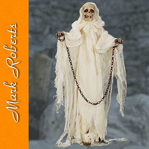 Halloween Decorations 51-12922 Skeleton Display
