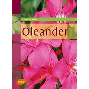 Oleander