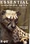 Essential LightWave 7.5