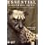 Essential LightWave 7.5