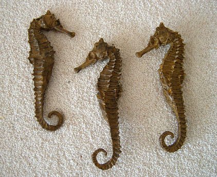 3 SEEPFERDCHEN ca. 10cm Gießharz - wie echt