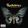 Black Butterfly Black Butterfly