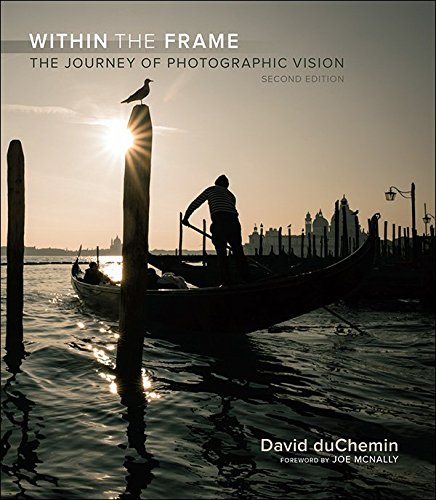 Within the Frame: The Journey of Photographic Vision (Voices That Matter)