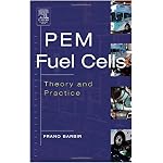 PEM Fuel Cells: Theory and Practice (Sustainable World Series) book cover