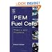 PEM Fuel Cells: Theory and Practice (Sustainable World Series)