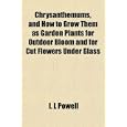 Chrysanthemums, and How to Grow Them as Garden Plants for Outdoor Bloom and for Cut Flowers Under Glass by I. L Powell