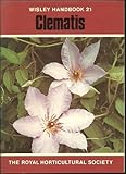 Clematis