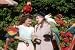 Vintage Florida Travelogue Films (1950's)
